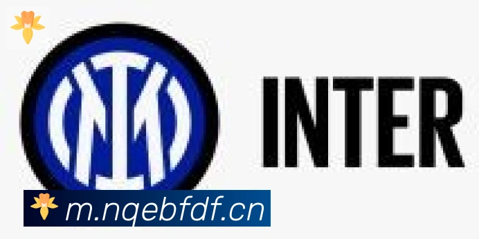 爱游戏ayx合作伙伴